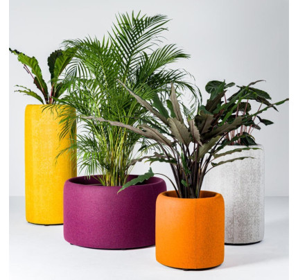 Akoestische plantenbak BuzziPlanter