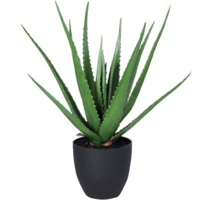 Kunstplant Aloë Vera